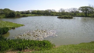  Nuestro lago